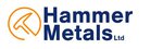 hammerlogo.JPG